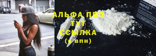 apvp Магас