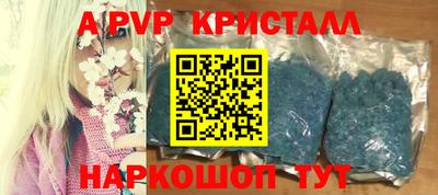 прущие грибы Гусиноозёрск