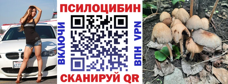 Галлюциногенные грибы GOLDEN TEACHER  купить  цена  Дзержинск 