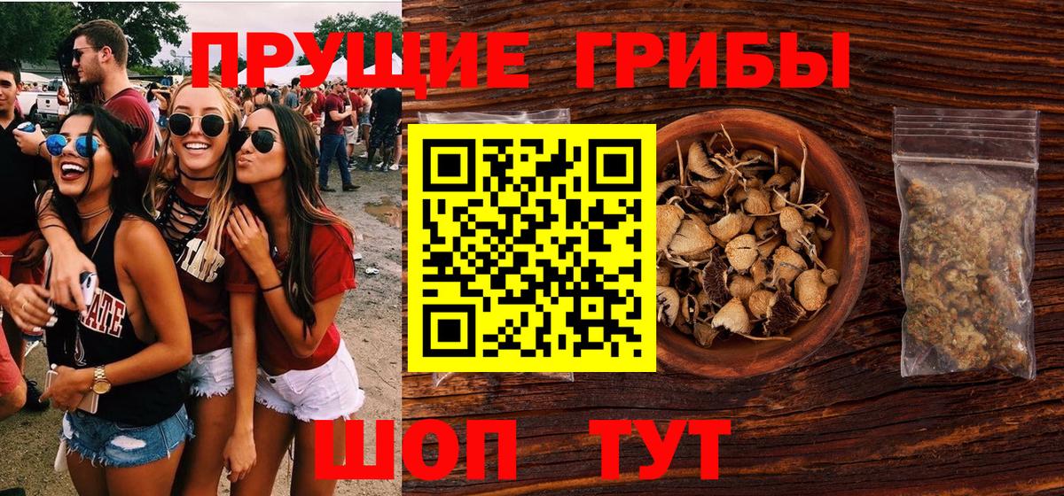Галлюциногенные грибы Psilocybine cubensis Дзержинск