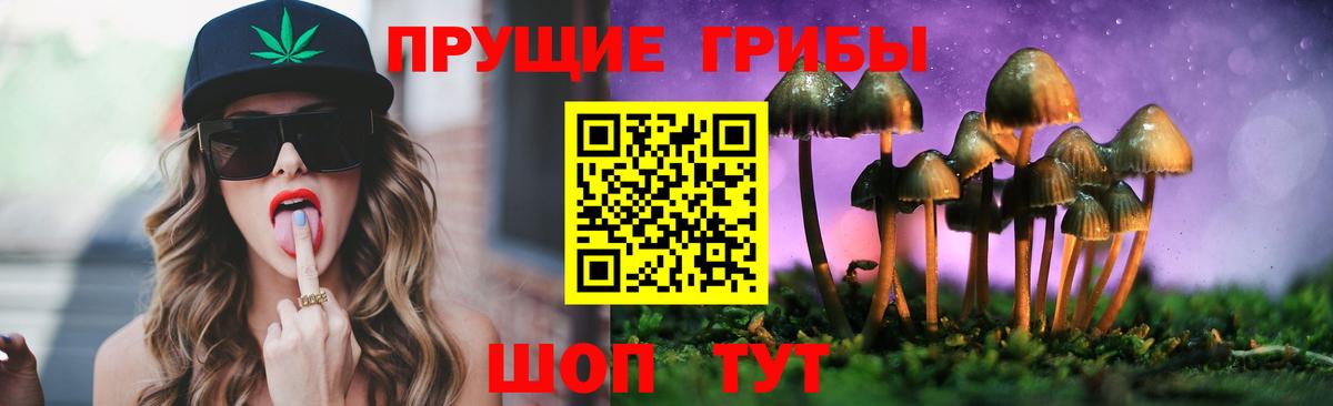Дзержинск  Галлюциногенные грибы мицелий  Вход с VPN 
